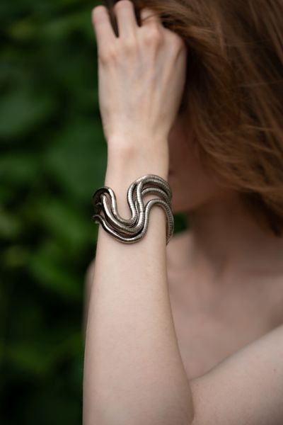 Прикраса-трансформер SNAKE p066 фото