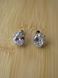 Сережки CLARITY OVAL Silver s105 фото 5