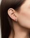 Сережки CLARITY RADIANT Silver s107 фото 5