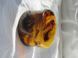 Браслет MARBLE Coffee b037 фото 3